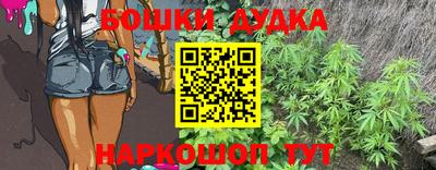гидра Заволжье