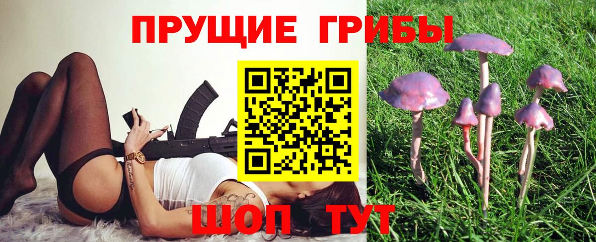 Псилоцибиновые грибы Psilocybine cubensis  Вход с VPN  Усть-Илимск 