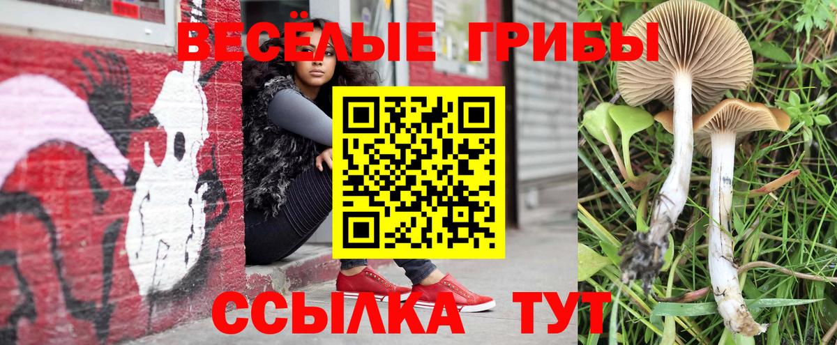 Галлюциногенные грибы мицелий Усть-Илимск